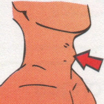 Tangguk-angguk / Adam's apple / halkum