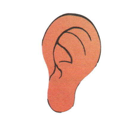 Tolingo / Ear / Telingga